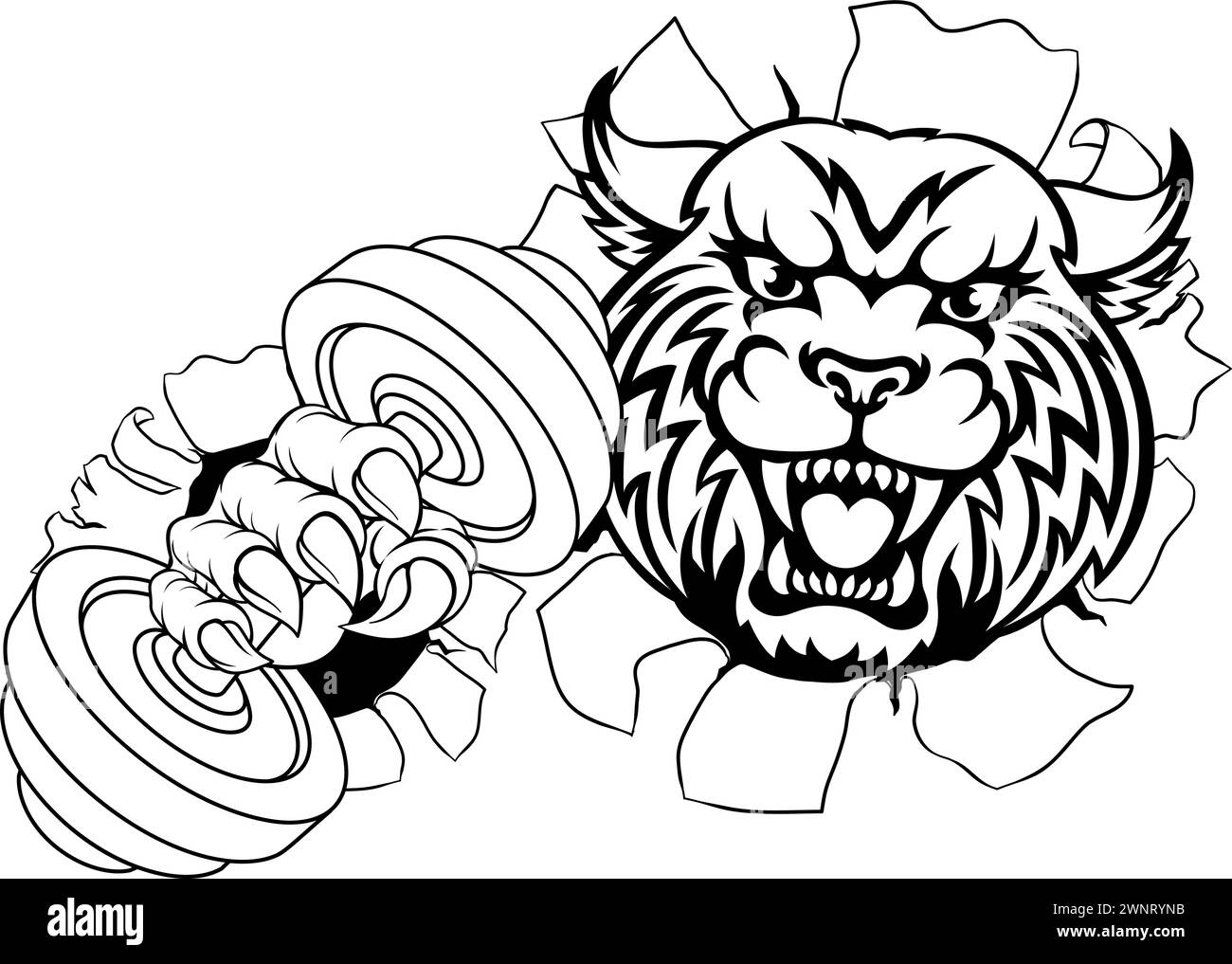 Wildcat Cougar Lynx Lion Weight Lifting Gym Mascot Stock Vector