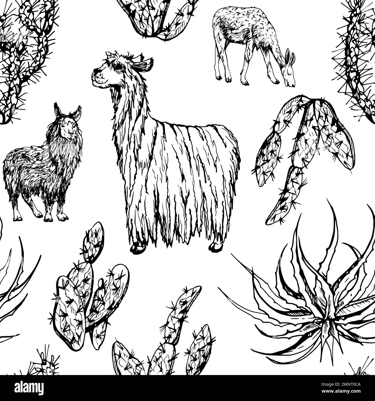 Hand drawn ink vector illustration, nature desert plant succulent cactus aloe agave, llama alpaca wool animals. Seamless pattern isolated on white Stock Vector