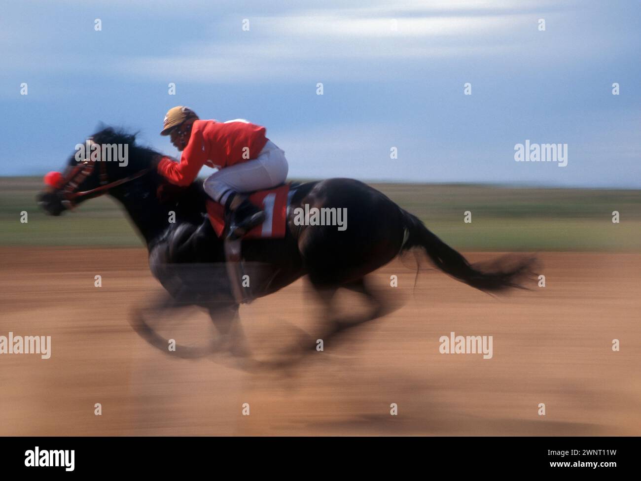 A rider at a small horse race. Stock Photo