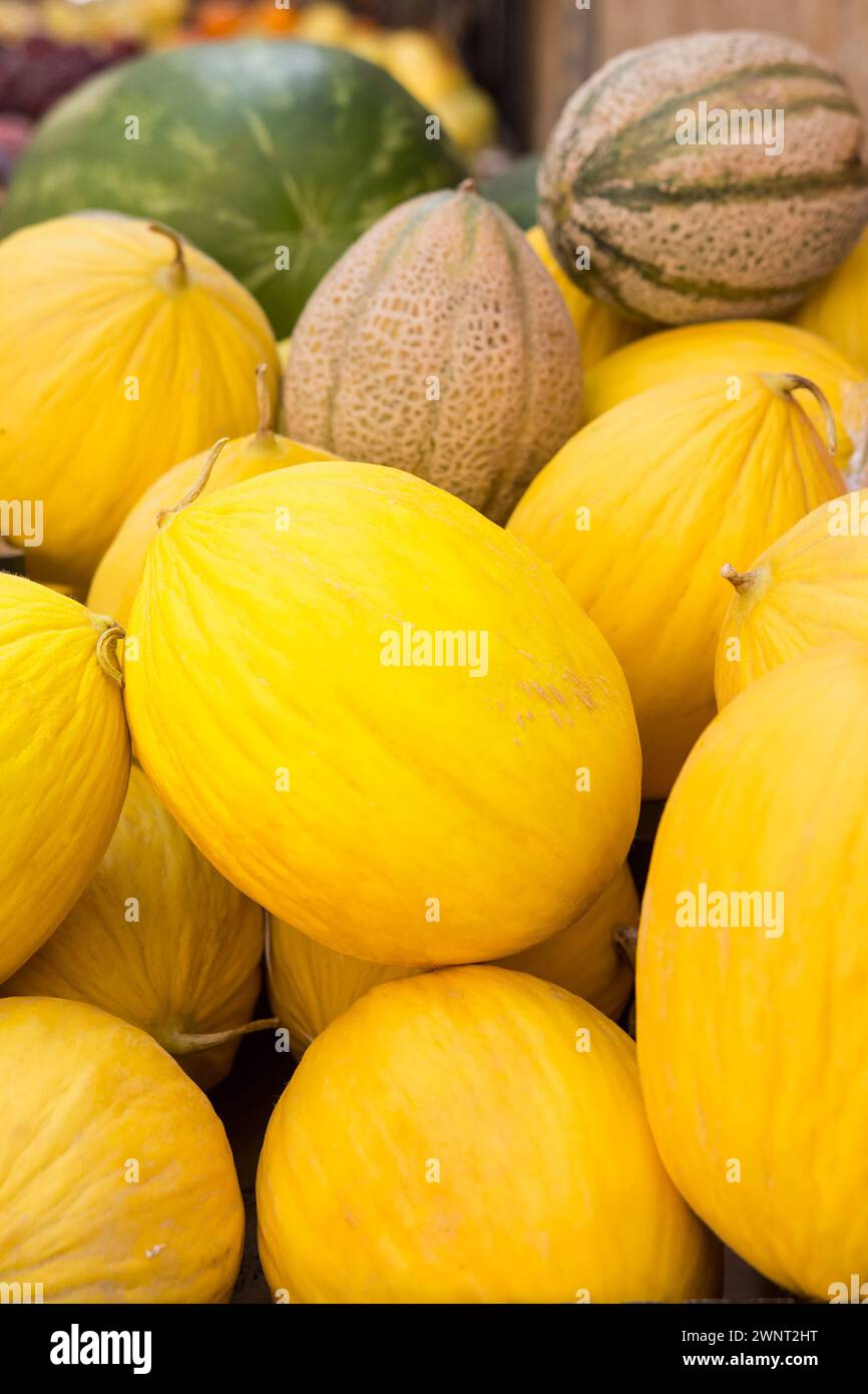 Background with yellow melons Stock Photo