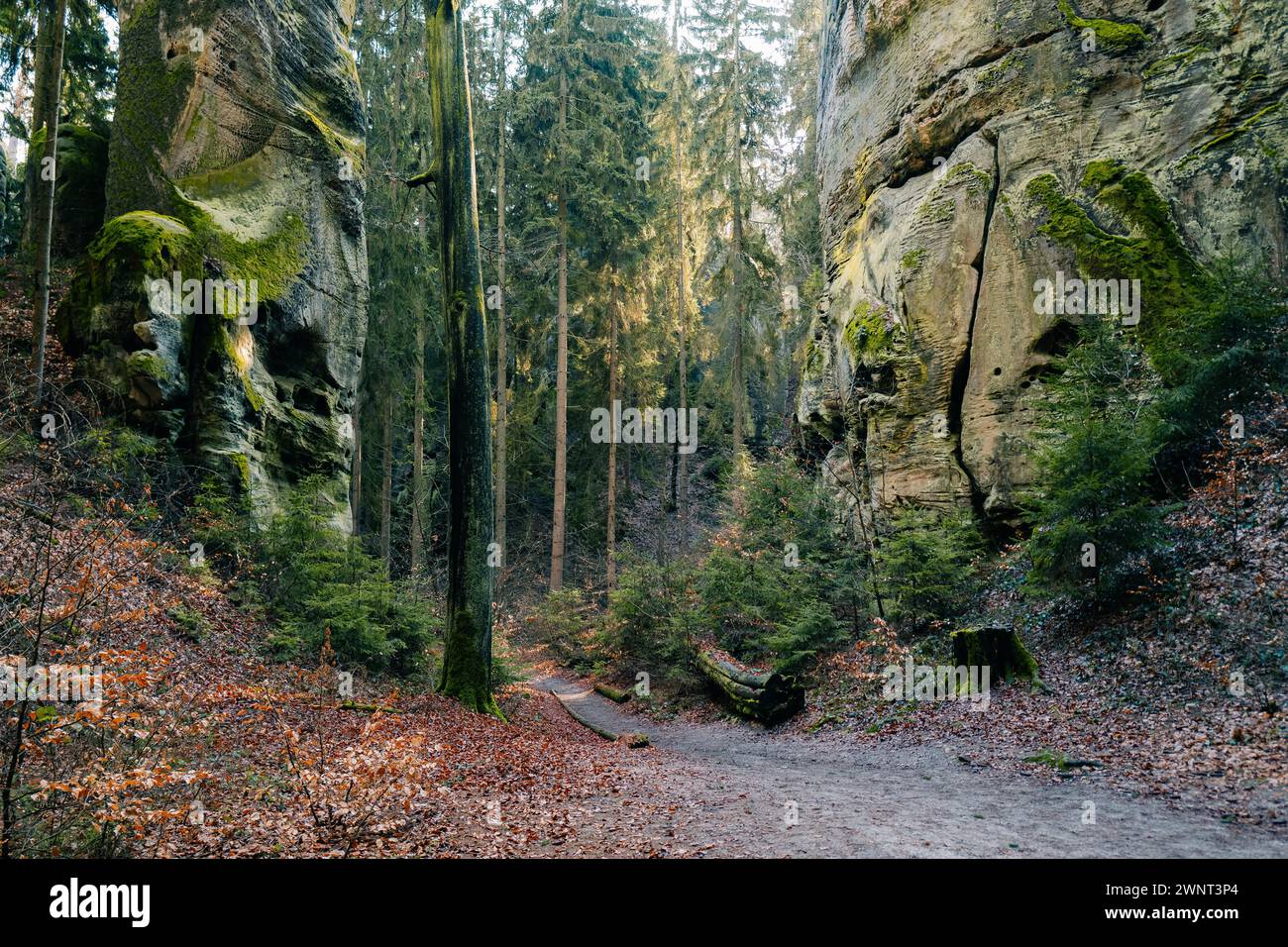 Rock massif in the Czech forest, paths without people Stock Photo