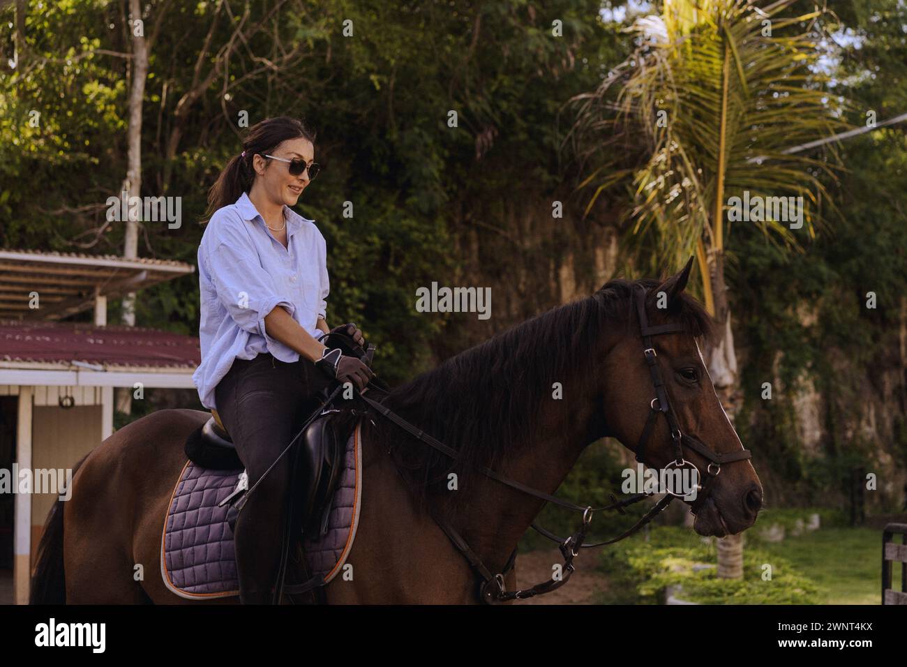 Young woman riding a horse at a riding school. Stock Photo