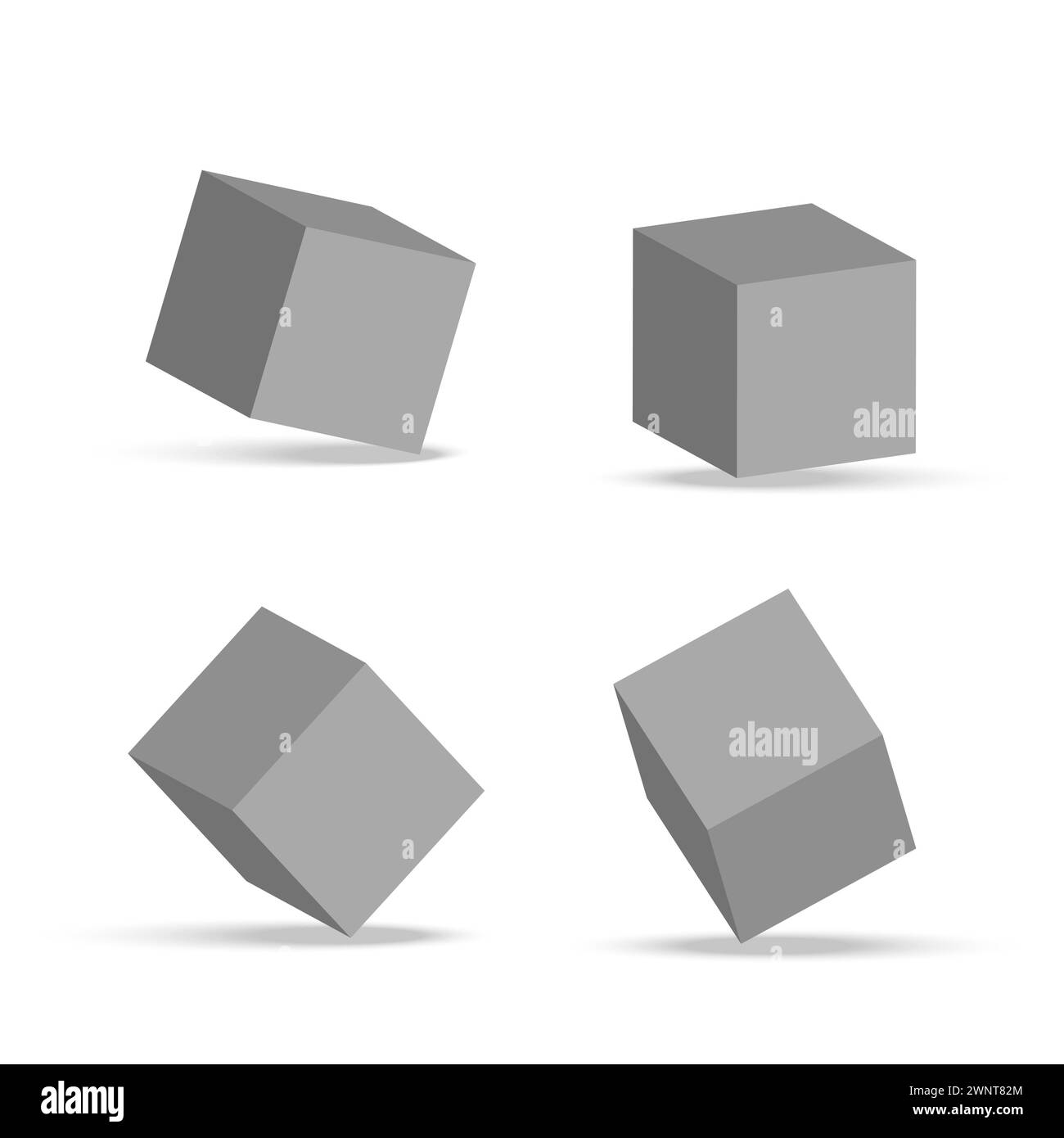 Physical structure vector vectors Black and White Stock Photos & Images ...
