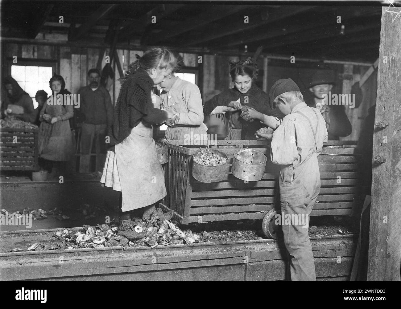 Little Lottie, a regular oyster shucker in Alabama Canning Co.  Lewis Hine (Bayou La Batre, Alabama, 1911) Stock Photo