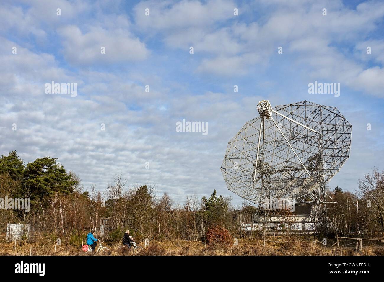 Large parabolic radio telescope (Radiotelescoop Dwingelderveld) amidst leafless trees under a cloudy sky Stock Photo