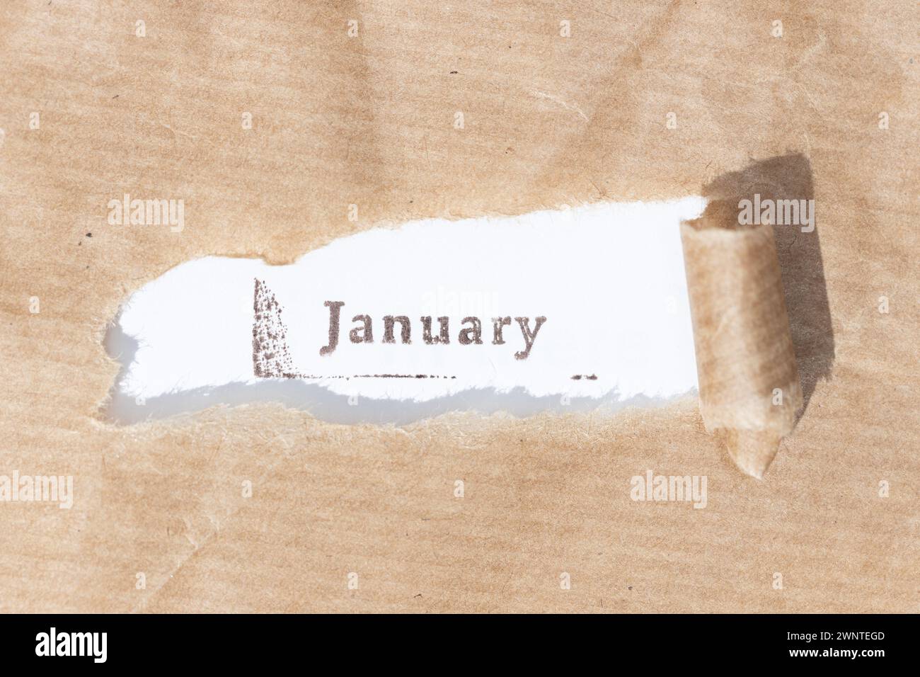 Brown paper torn stripe with ink stamp text January on white paper background Stock Photo
