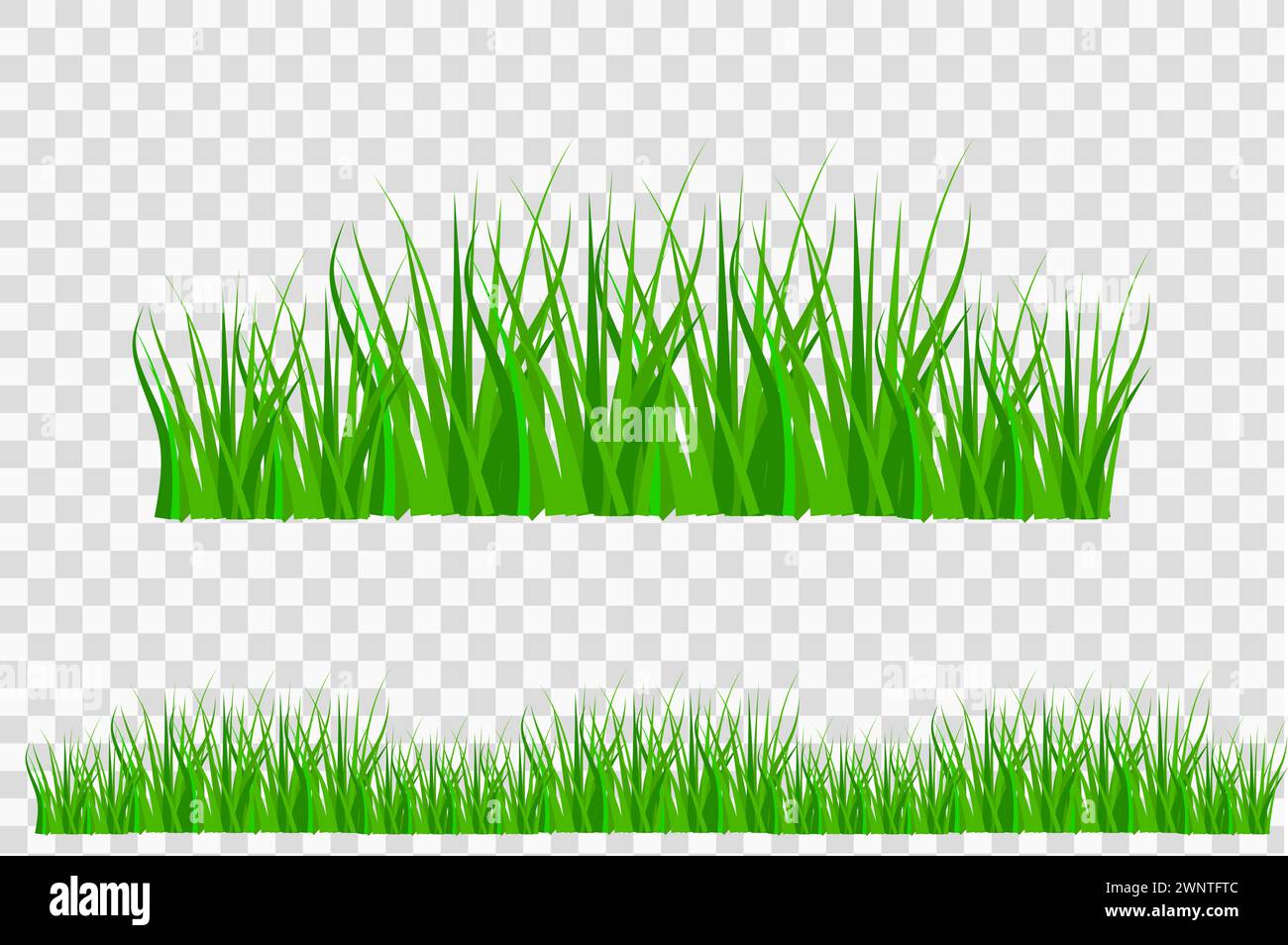 Grass vector vectors hi-res stock photography and images - Alamy
