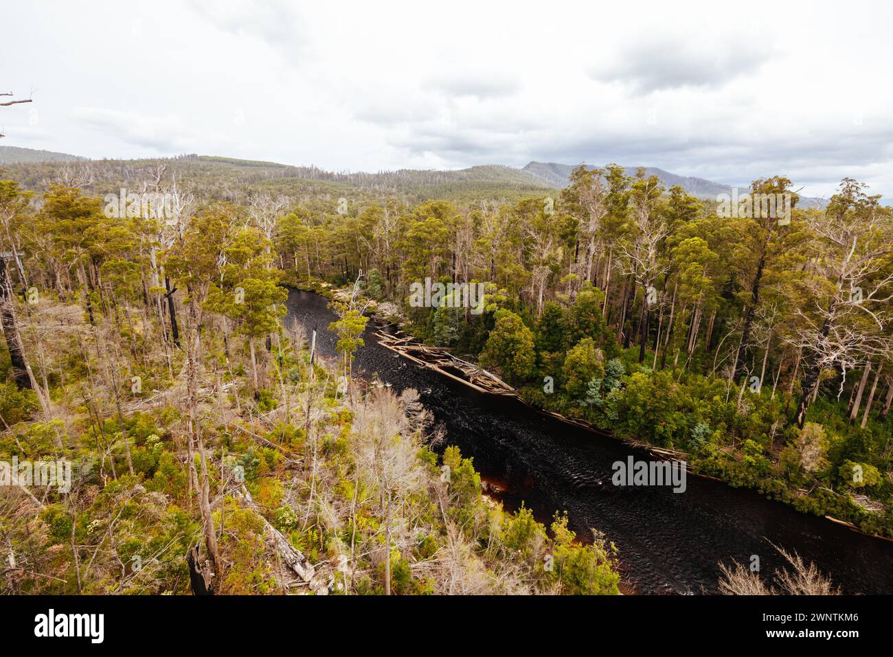 Tahune Airwalk landscape around the Huon River on a cloudy summer's day in Huon Valley, Tasmania, Australia Stock Photo