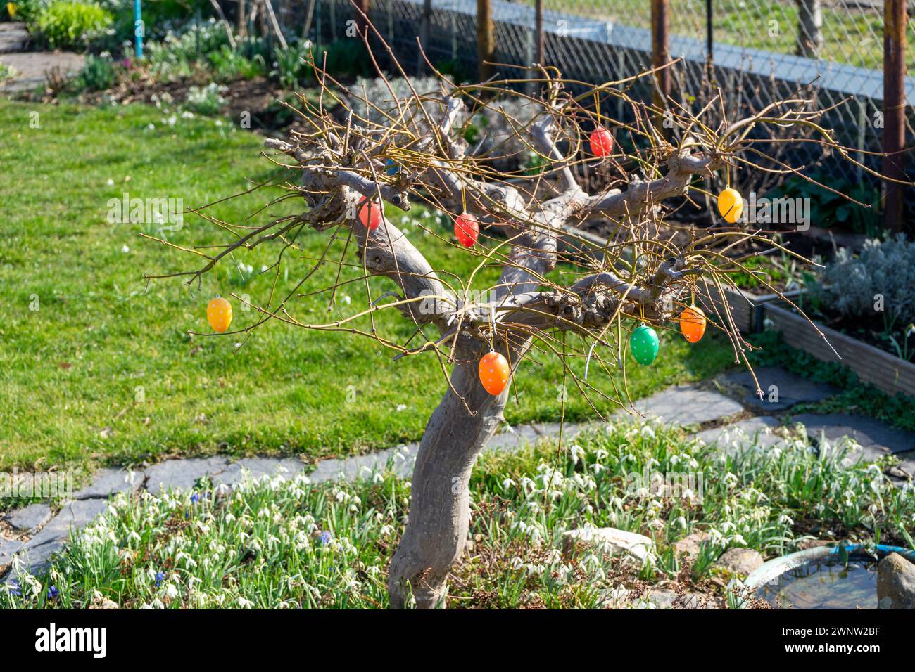 Tree in the garden with colorful Easter eggs Stock Photo