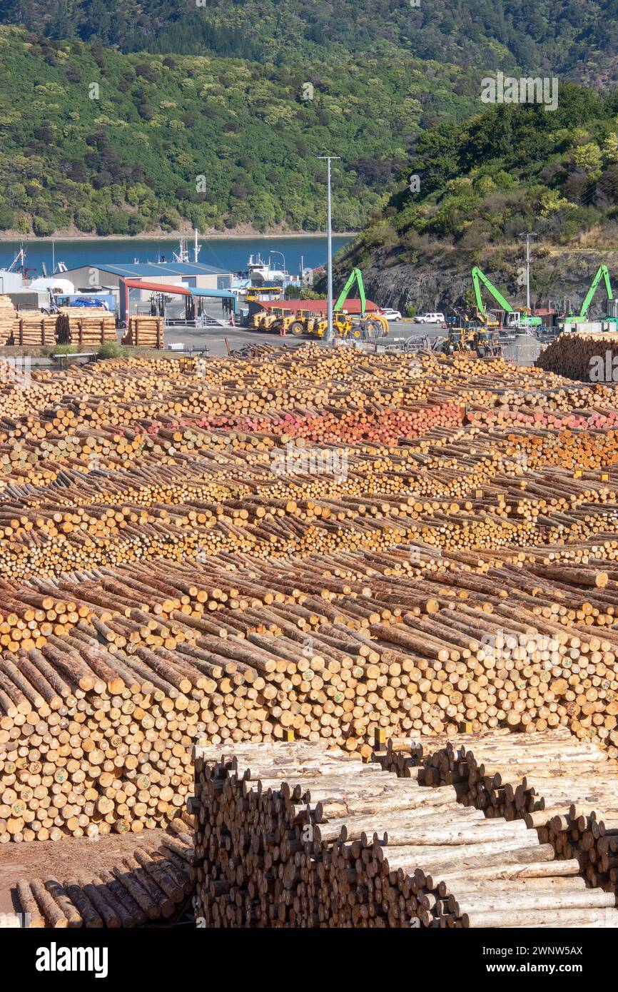 Vast number of felled trees logs lumber timber stacked on dock at Picton New Zealand ready for export logging industry Stock Photo