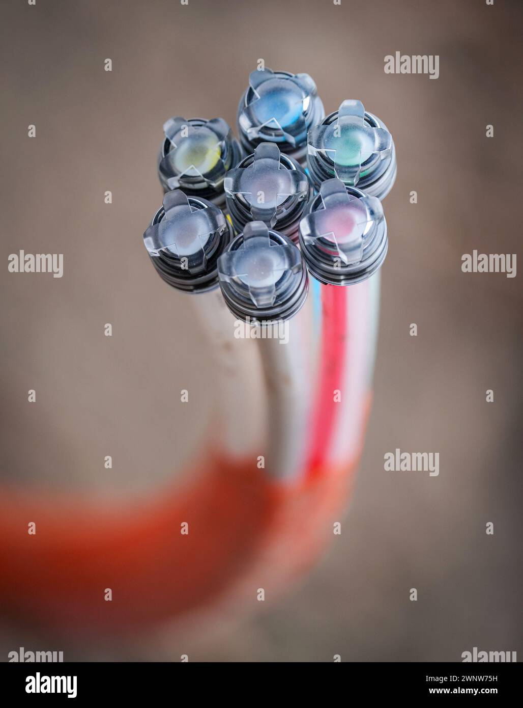 Berlin, Germany. 03rd Mar, 2024. A fiber optic cable for broadband expansion, covered with transparent caps, protrudes from the ground at the edge of a construction site. Credit: Soeren Stache/dpa/Alamy Live News Stock Photo