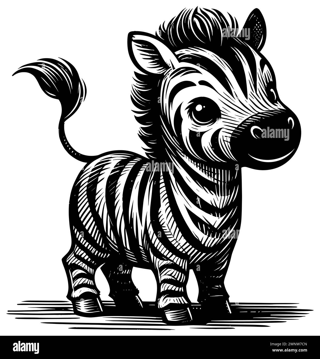 Woodcut style illustration of cute baby zebra on white background Stock