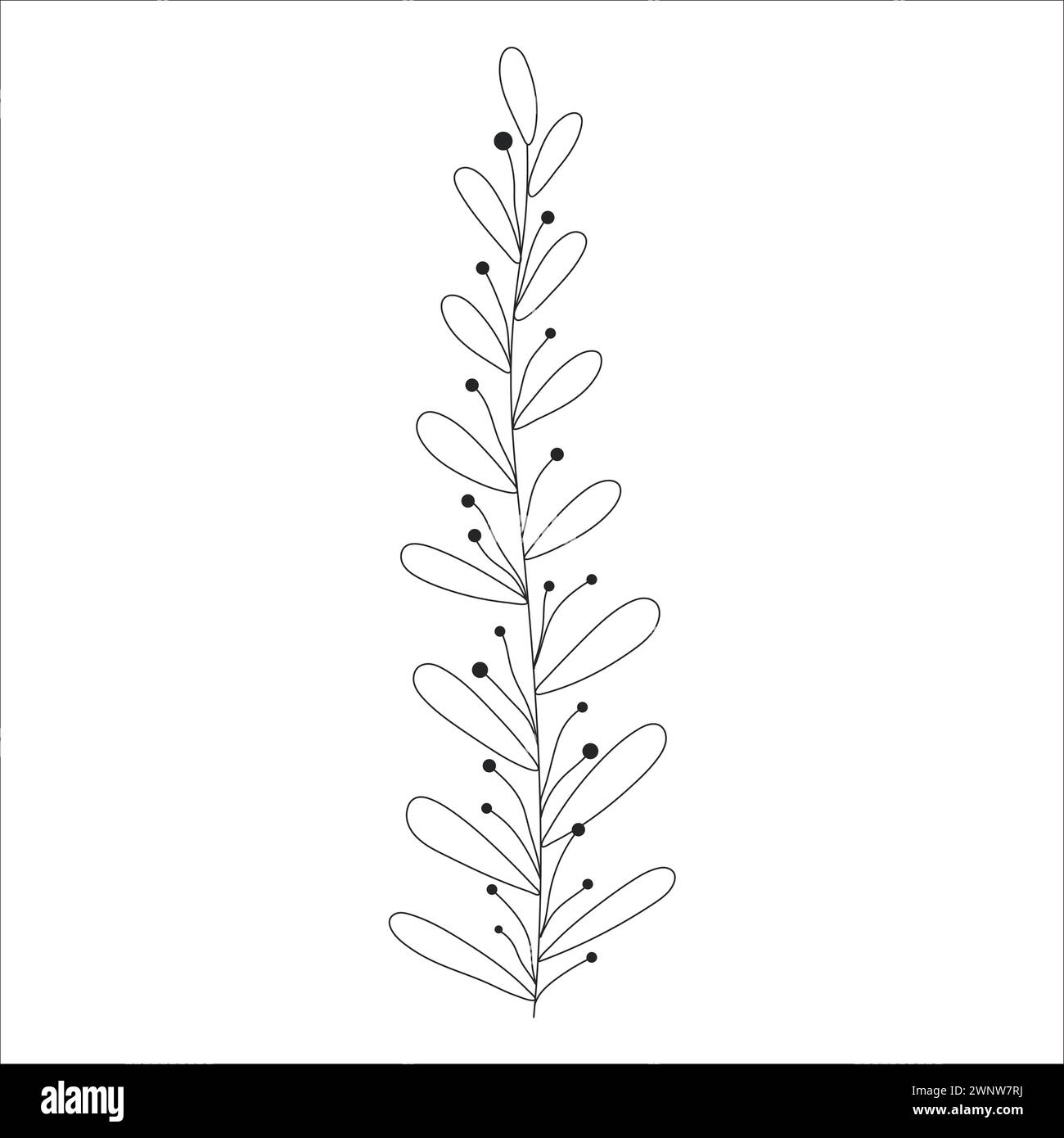 Black silhouette of a plant branch Stock Vector Image & Art - Alamy