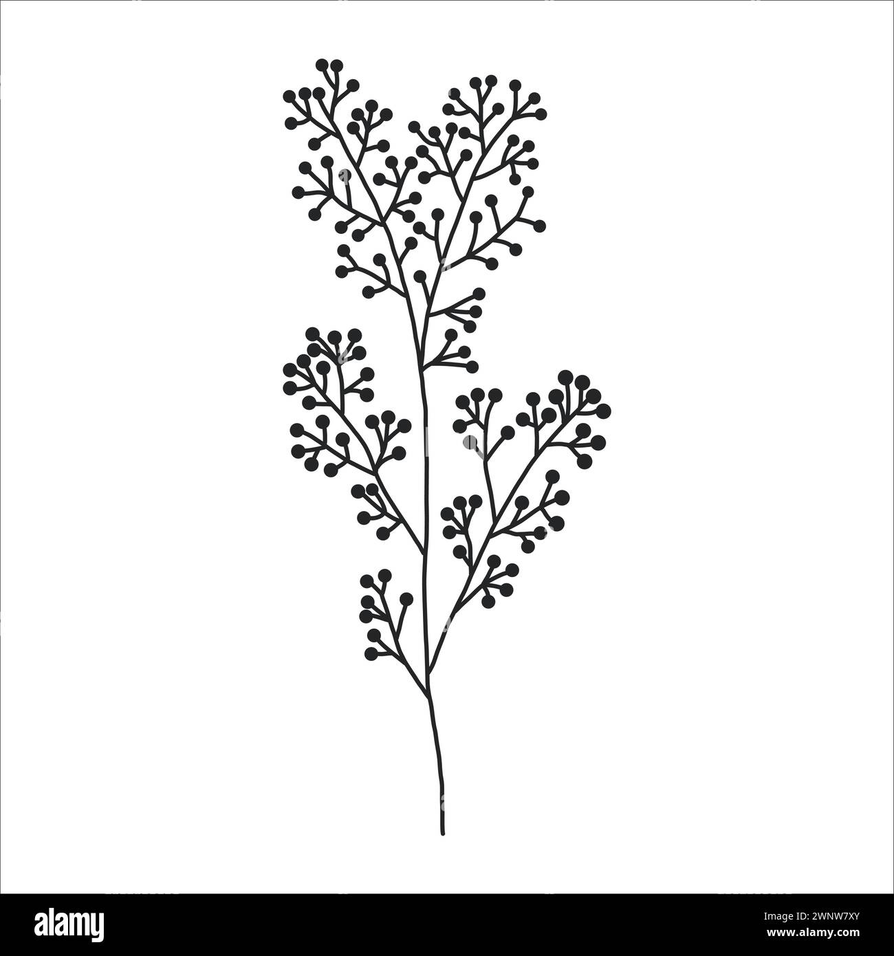 Black Silhouette Of A Plant Branch Stock Vector Image Art Alamy black-silhouette-of-a-plant-branch-stock-vector-image-art-alamy