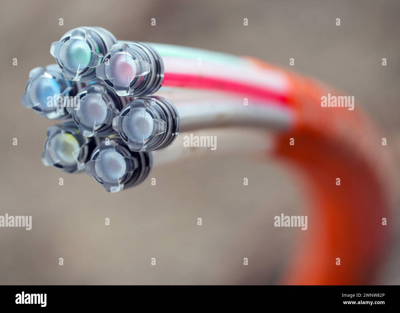 Berlin, Germany. 03rd Mar, 2024. A fiber optic cable for broadband expansion, covered with transparent caps, protrudes from the ground at the edge of a construction site. Credit: Soeren Stache/dpa/Alamy Live News Stock Photo