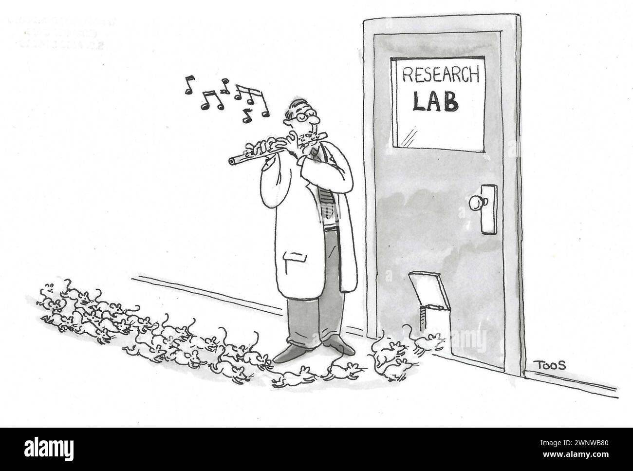 BW cartoon of a scientist playing the flute to bring all the escaped lab rats back into the research lab. Stock Photo