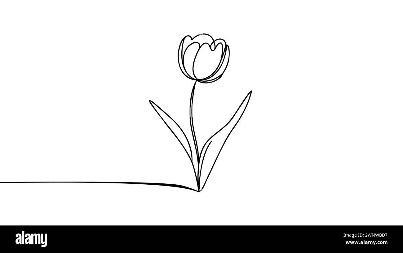 Tulip flower line art. Minimalist contour drawing. One line artwork ...