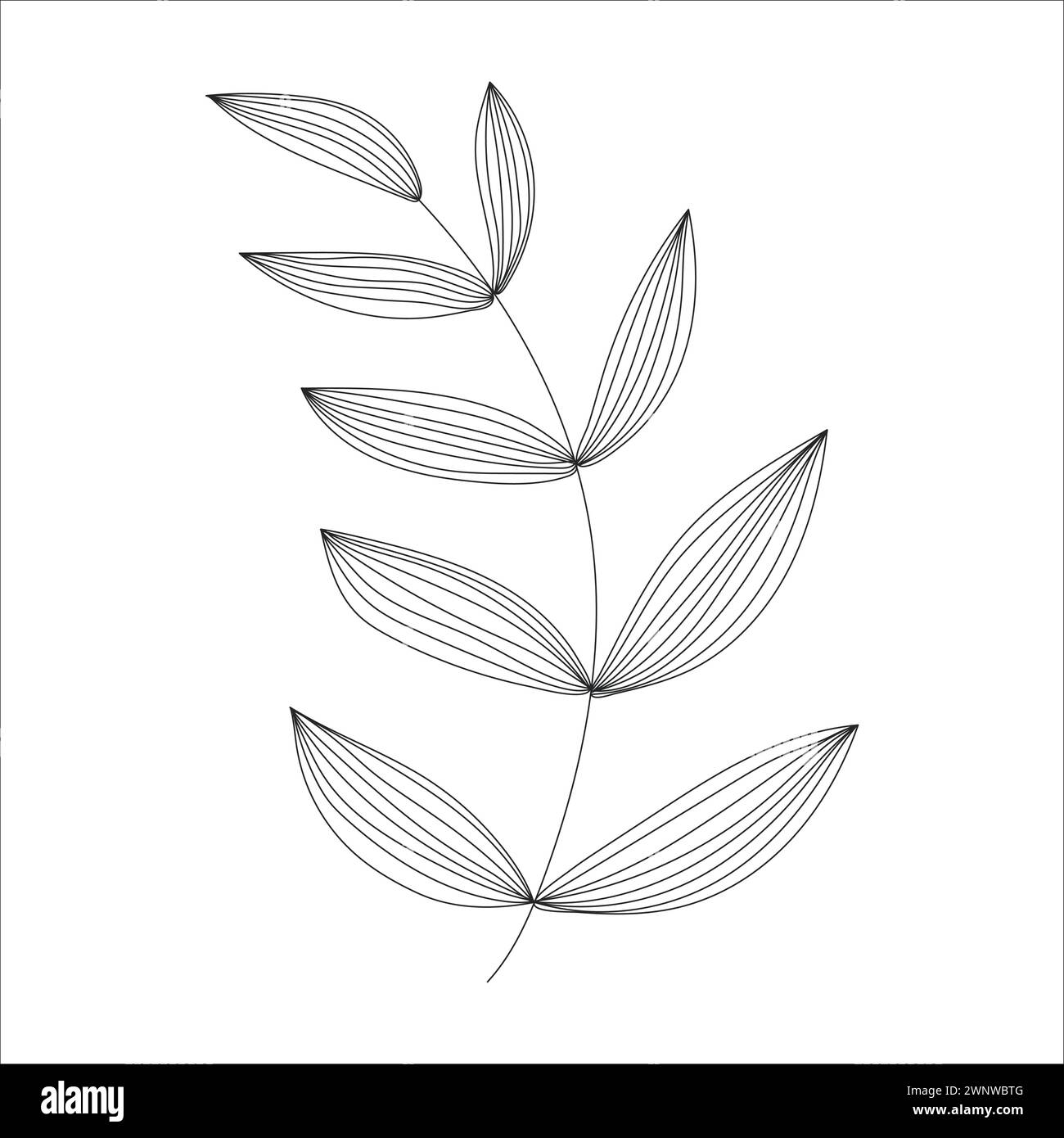 Black Silhouette Of A Plant Branch Stock Vector Image Art Alamy black-silhouette-of-a-plant-branch-stock-vector-image-art-alamy