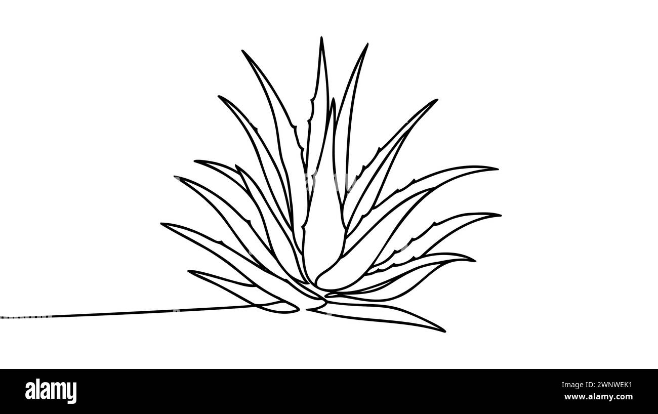 One single line drawing of healthy organic green aloe vera for farm ...