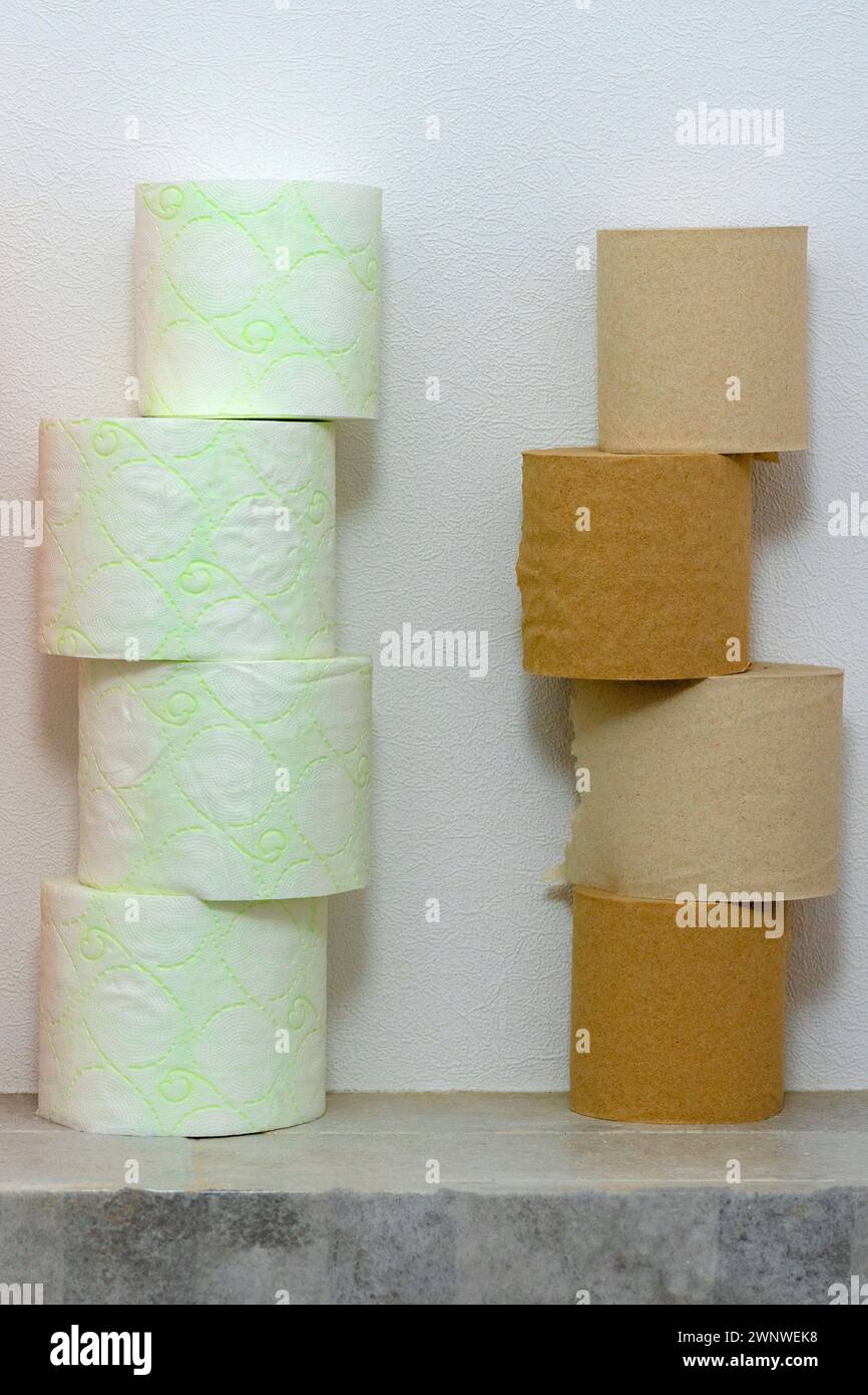 Different types of toilet paper. Rows of Toilet Coils. soft hygienic paper. Hygiene Concept Stock Photo