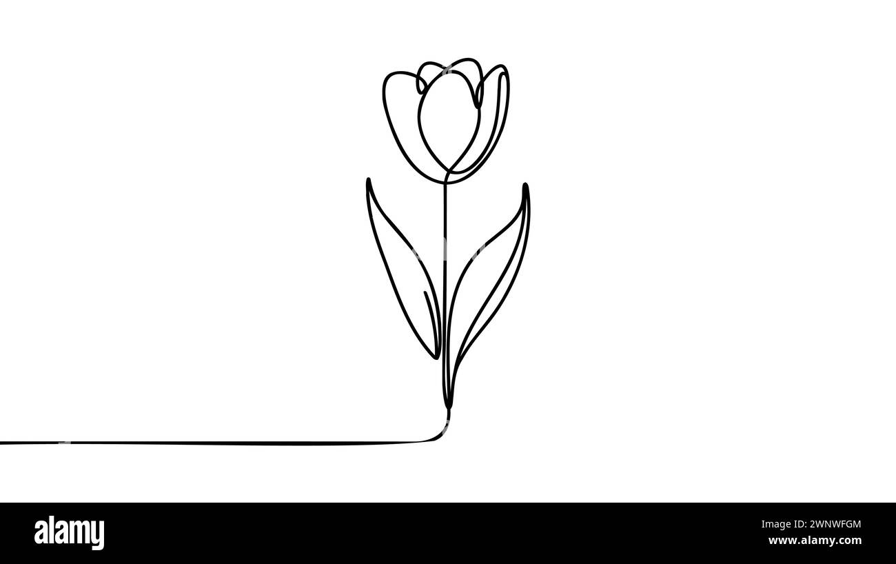 Tulip flower line art. Minimalist contour drawing. One line artwork ...