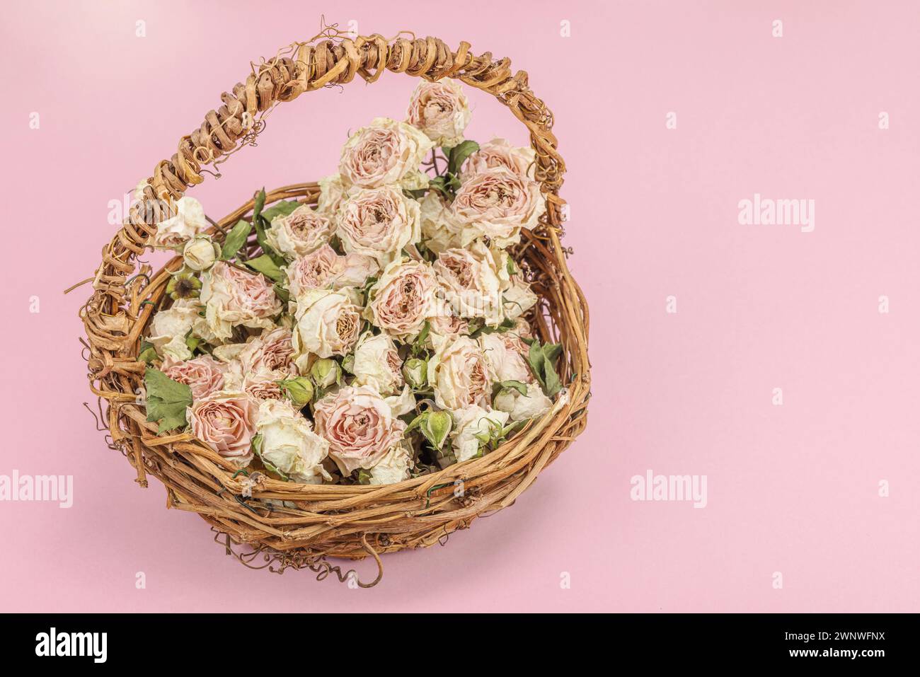 Creative composition with dry delicate roses in homemade wicker basket. Greeting card, pastel pink background, copy space Stock Photo