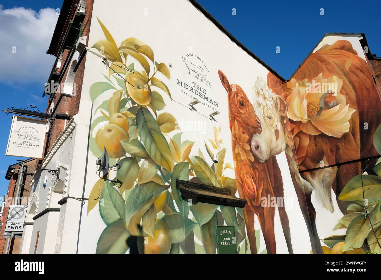 Hereford Herefordshire UK - March 2024 new mural art by muralist Curtis Hylton on the The Herdsman pub in Hereford city centre painted in Feb  2024 Stock Photo