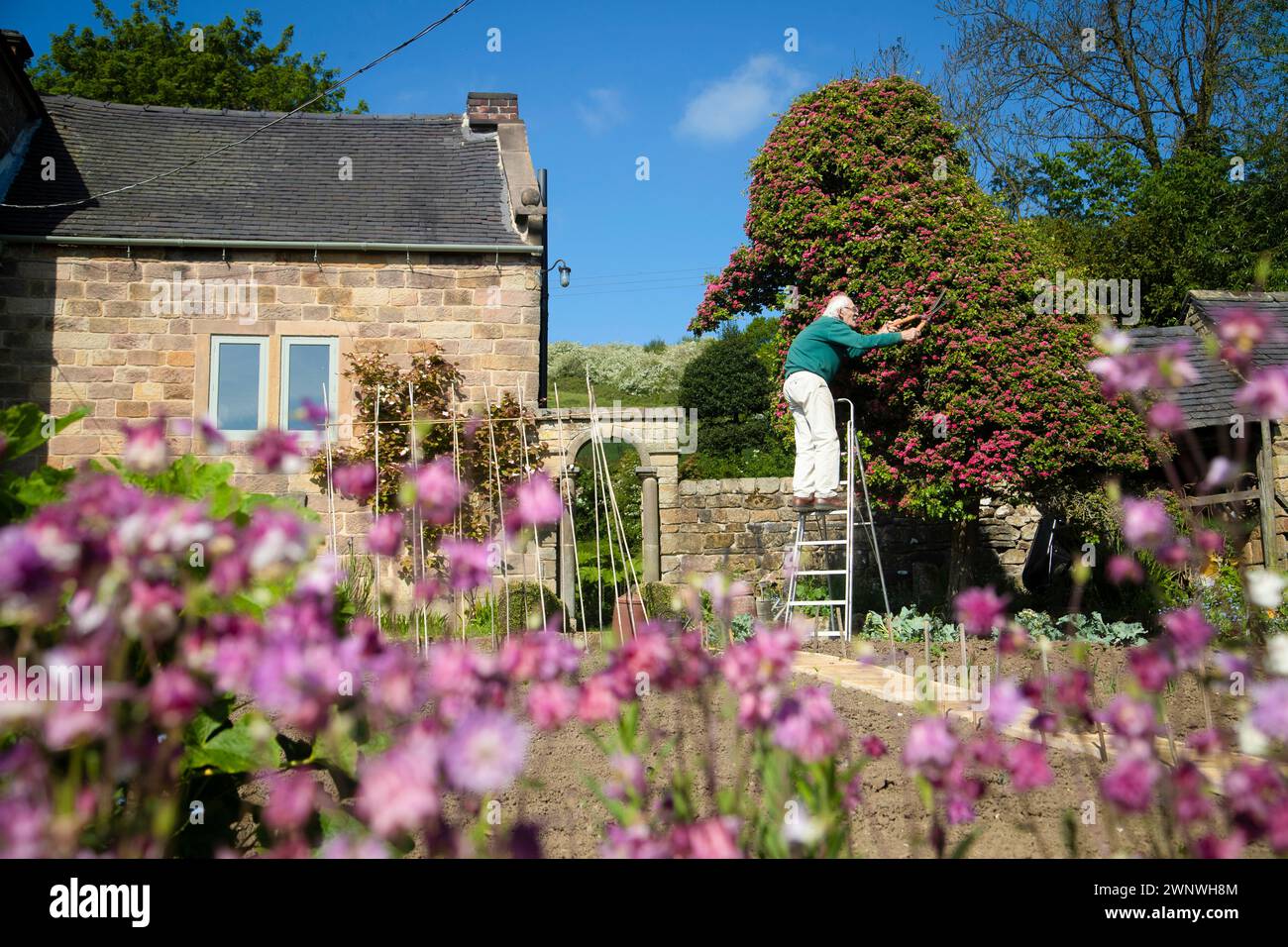 Picture of Couple moved hi-res stock photography and images - Alamy