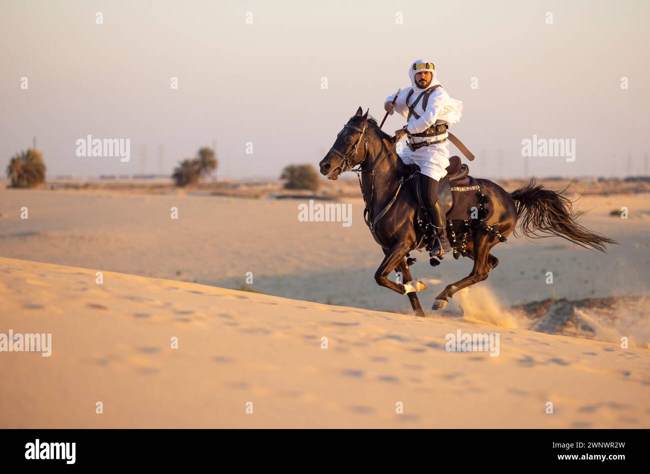 Saudi man in a desert with his black horse Stock Photo