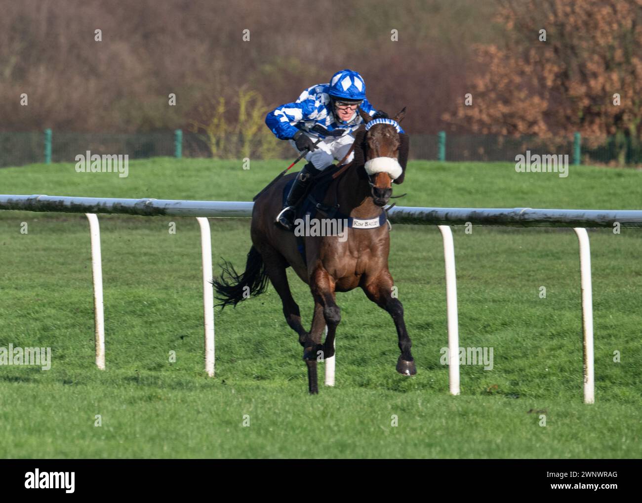 Does He Know withs theGrimthorpe Chase at Doncaster Racecourse on