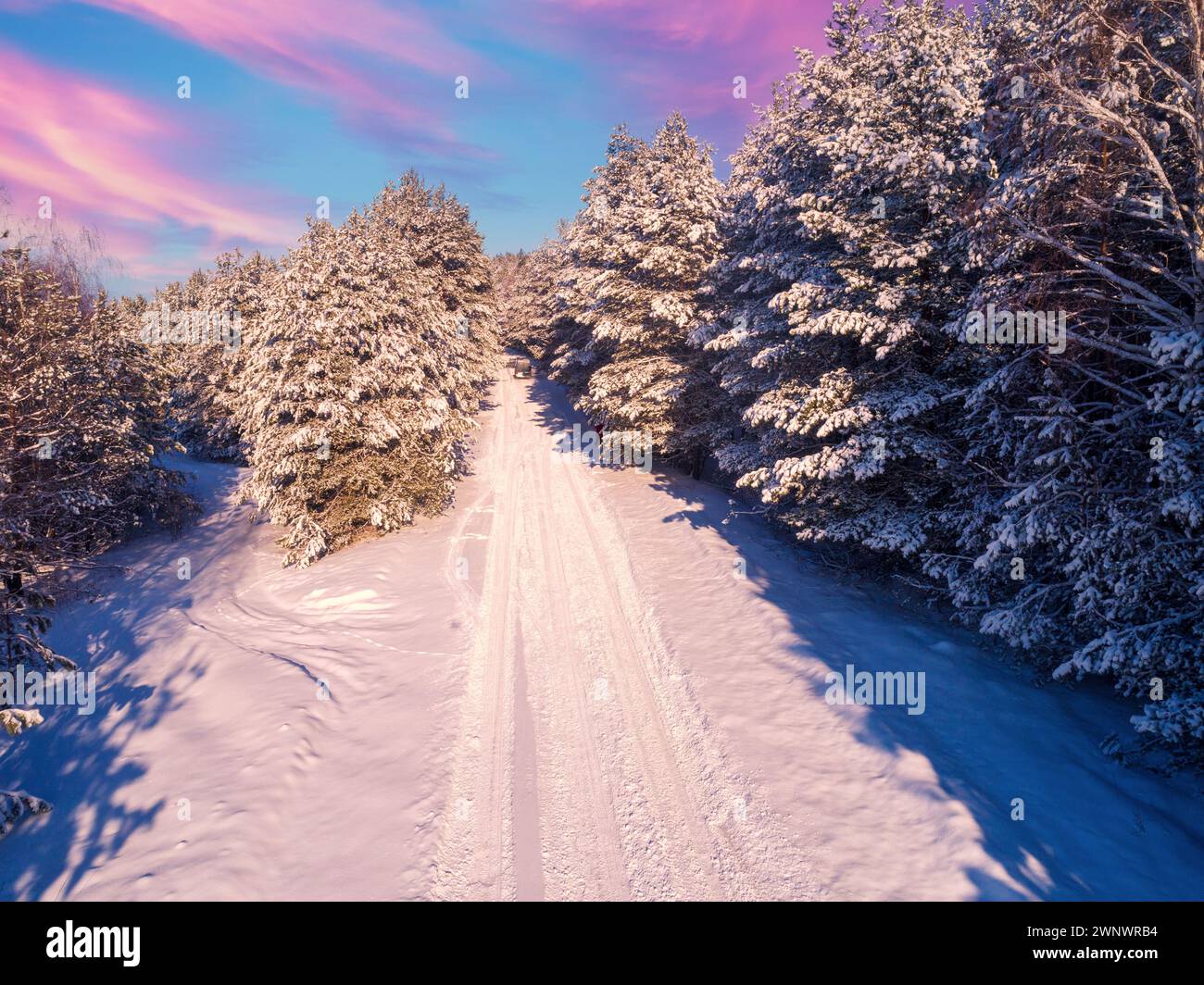 Aerial view snowy pine trees hi-res stock photography and images - Alamy