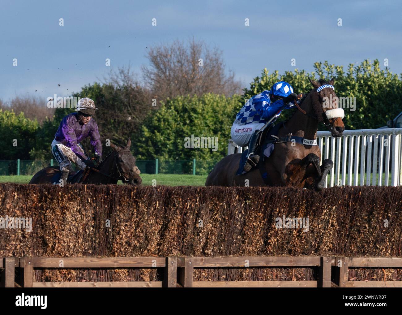 Does He Know withs theGrimthorpe Chase at Doncaster Racecourse on Saturday 4th March 2024 Stock Photo