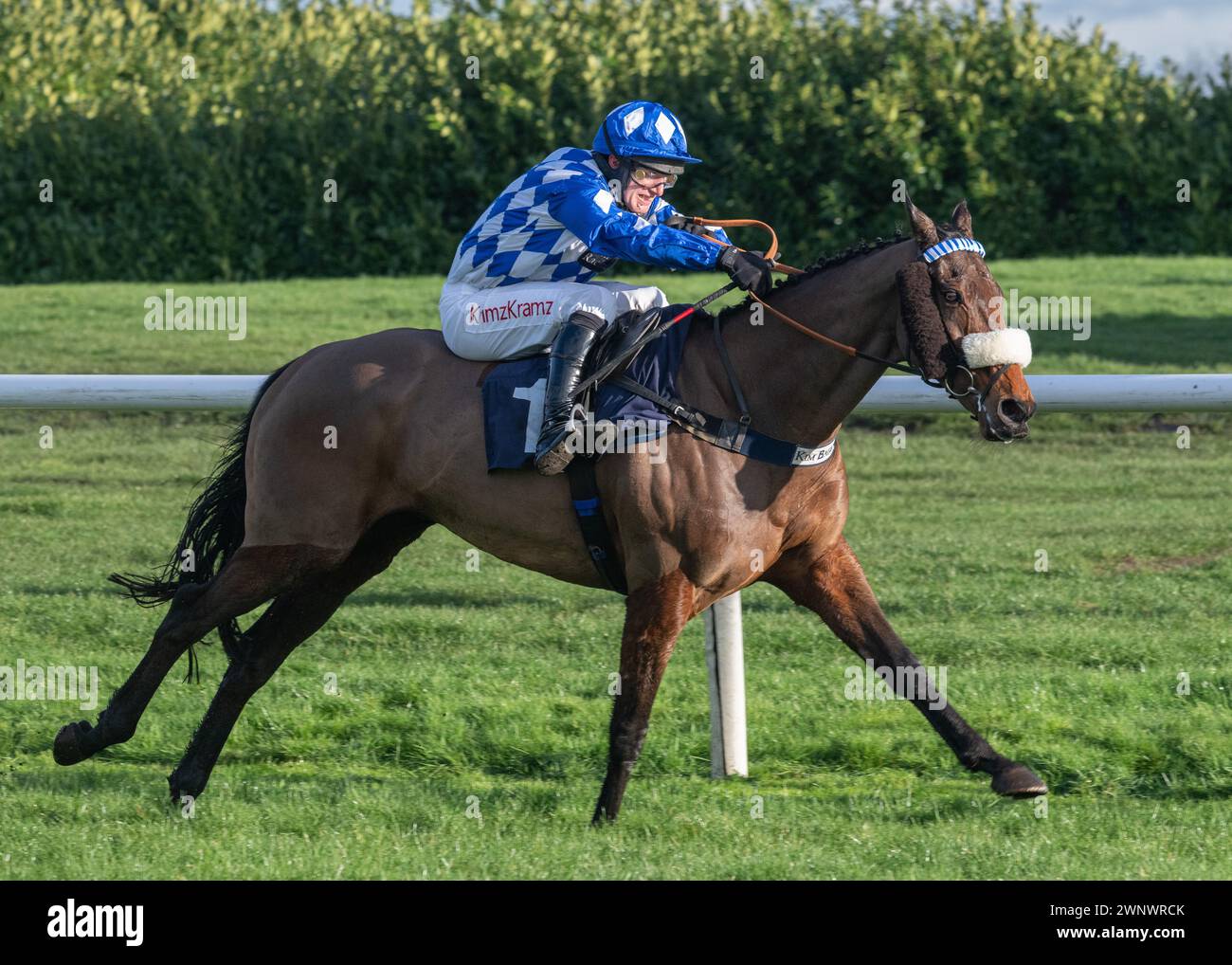 Does He Know withs theGrimthorpe Chase at Doncaster Racecourse on