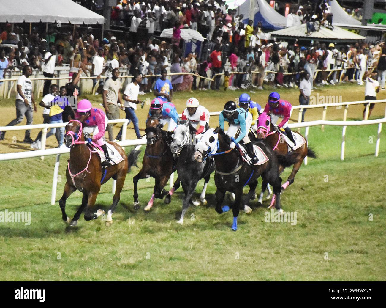 2024 sandy lane gold cup horse in barbados hires stock photography and