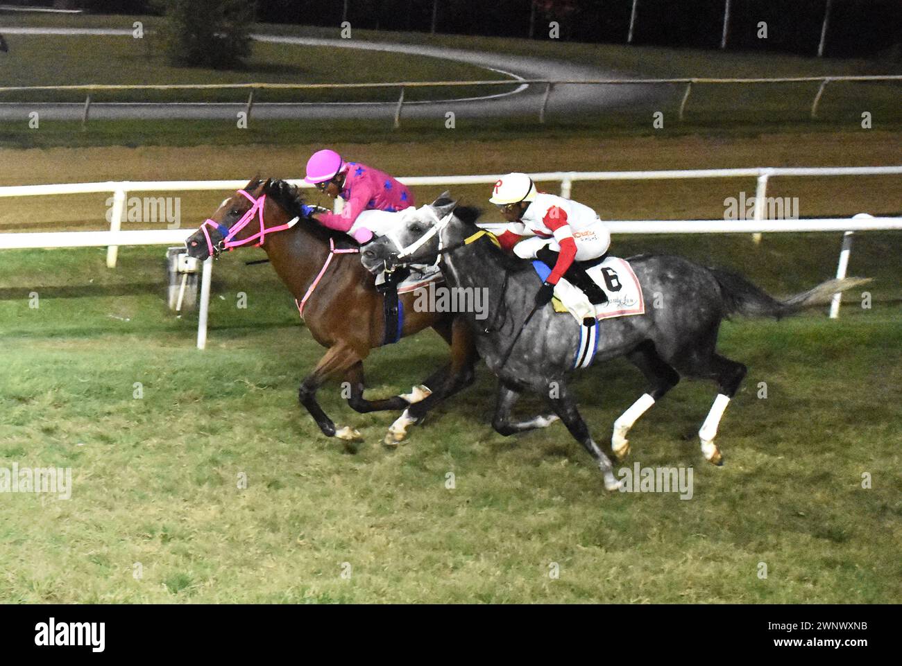 Sandy lane gold cup day in barbados 2024 hires stock photography and