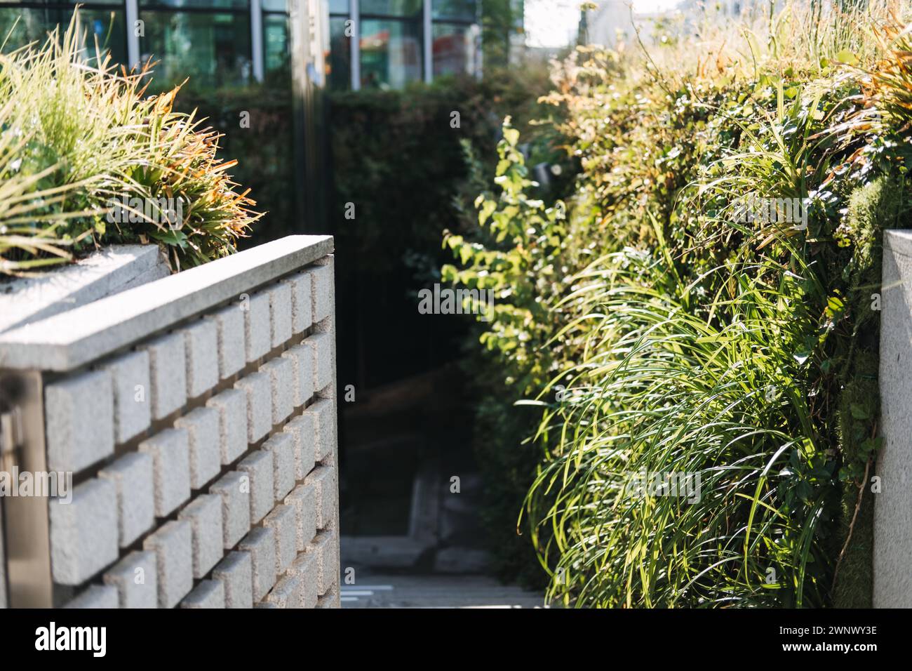 Plants lush greenery hi-res stock photography and images - Alamy