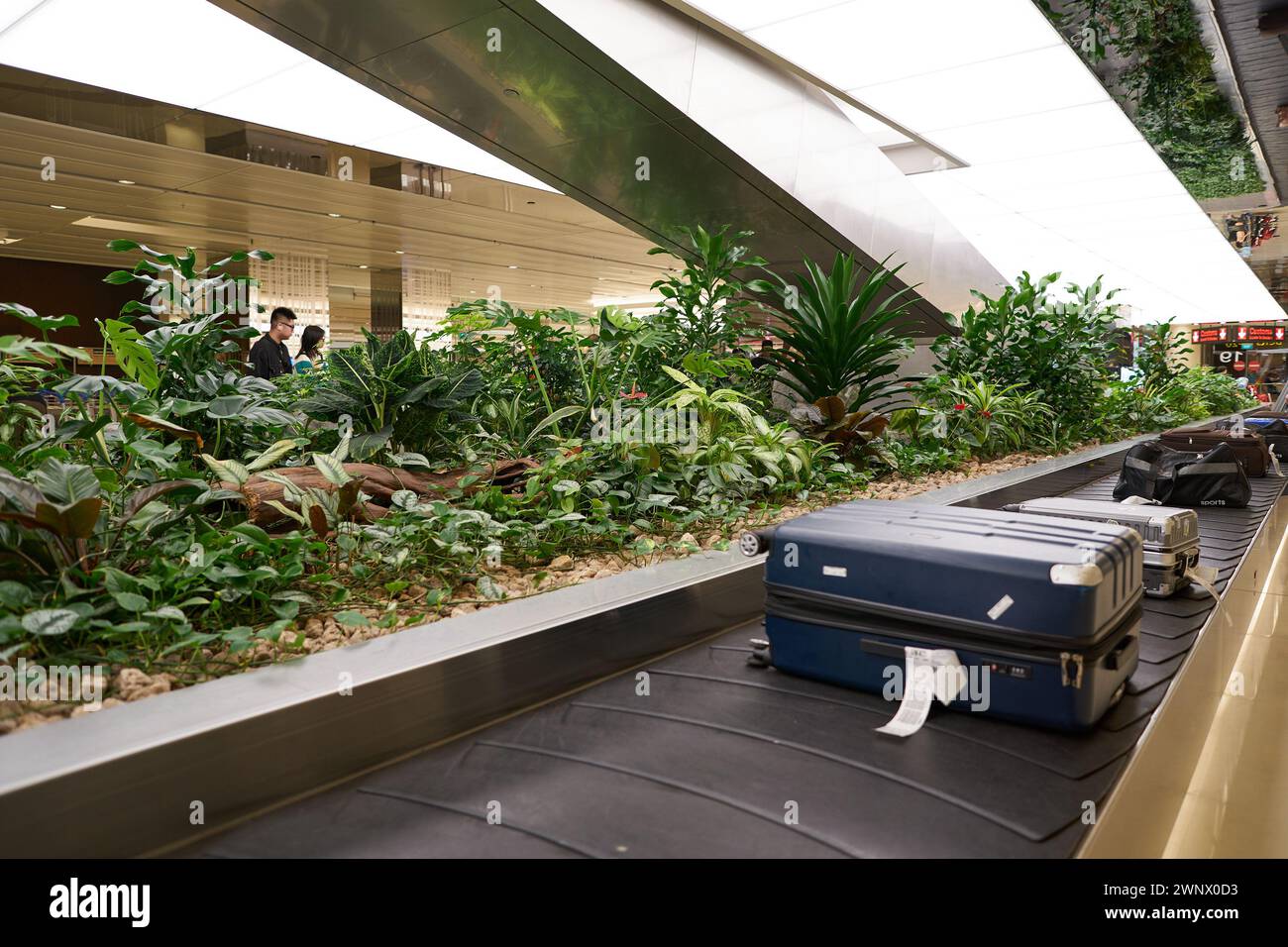 SINGAPORE - NOVEMBER 04, 2023: baggage claim area Singapore Changi Airport. Stock Photo