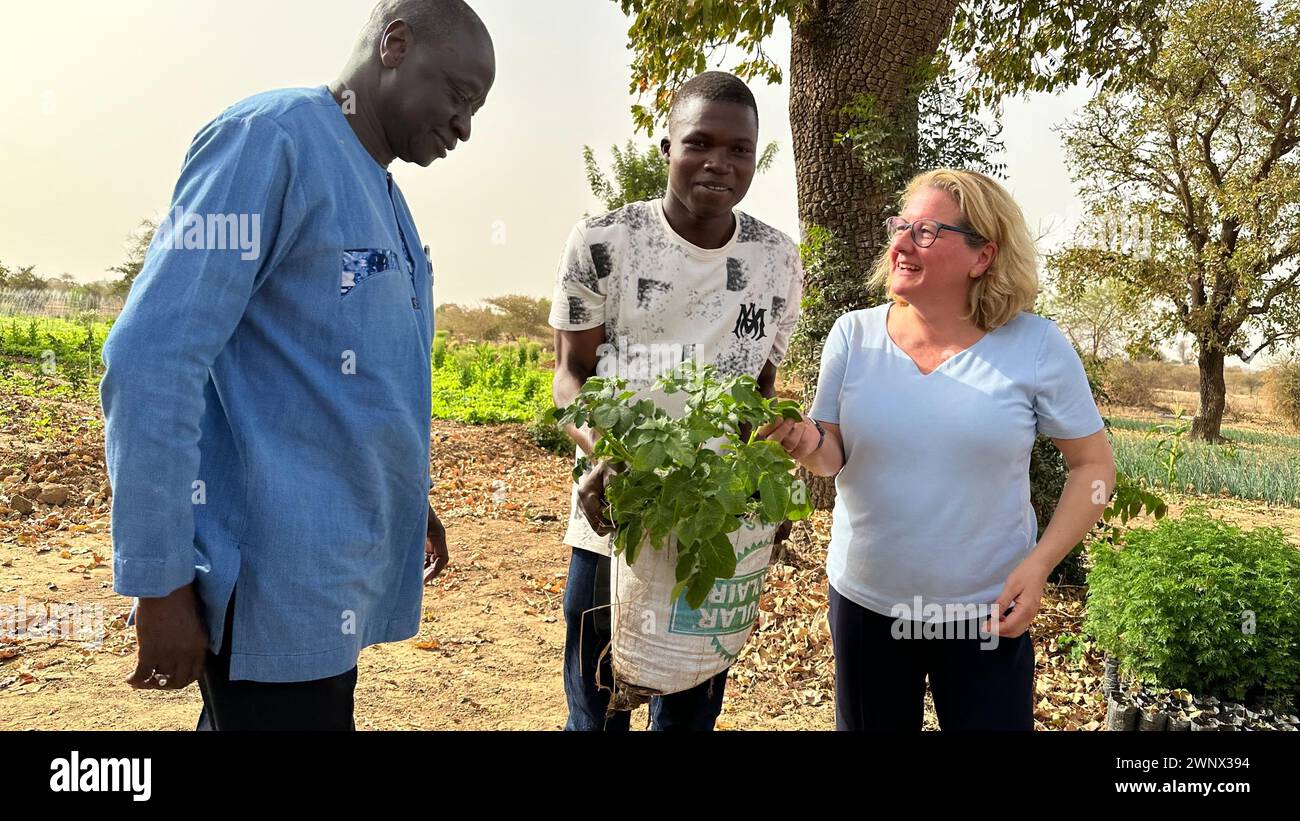 Ouagadougou, Burkina Faso. 04th Mar, 2024. German Development Minister Svenja Schulze (SPD) and World Bank Vice President Ousmane Diagana (l) learn about sustainable vegetable cultivation in dry climate zones during a visit to the agroecological training center Béo-Norée. Credit: Christina Peters/dpa/Alamy Live News Stock Photo