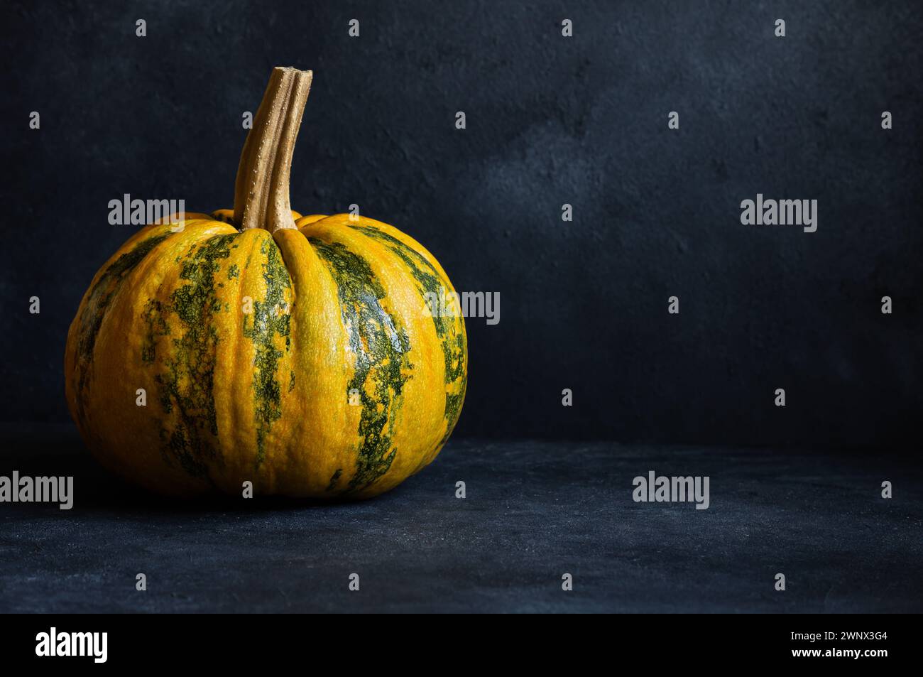 Whole fresh and ripe one pumpkin on dark rustic background (Cucurbita moschata) Stock Photo