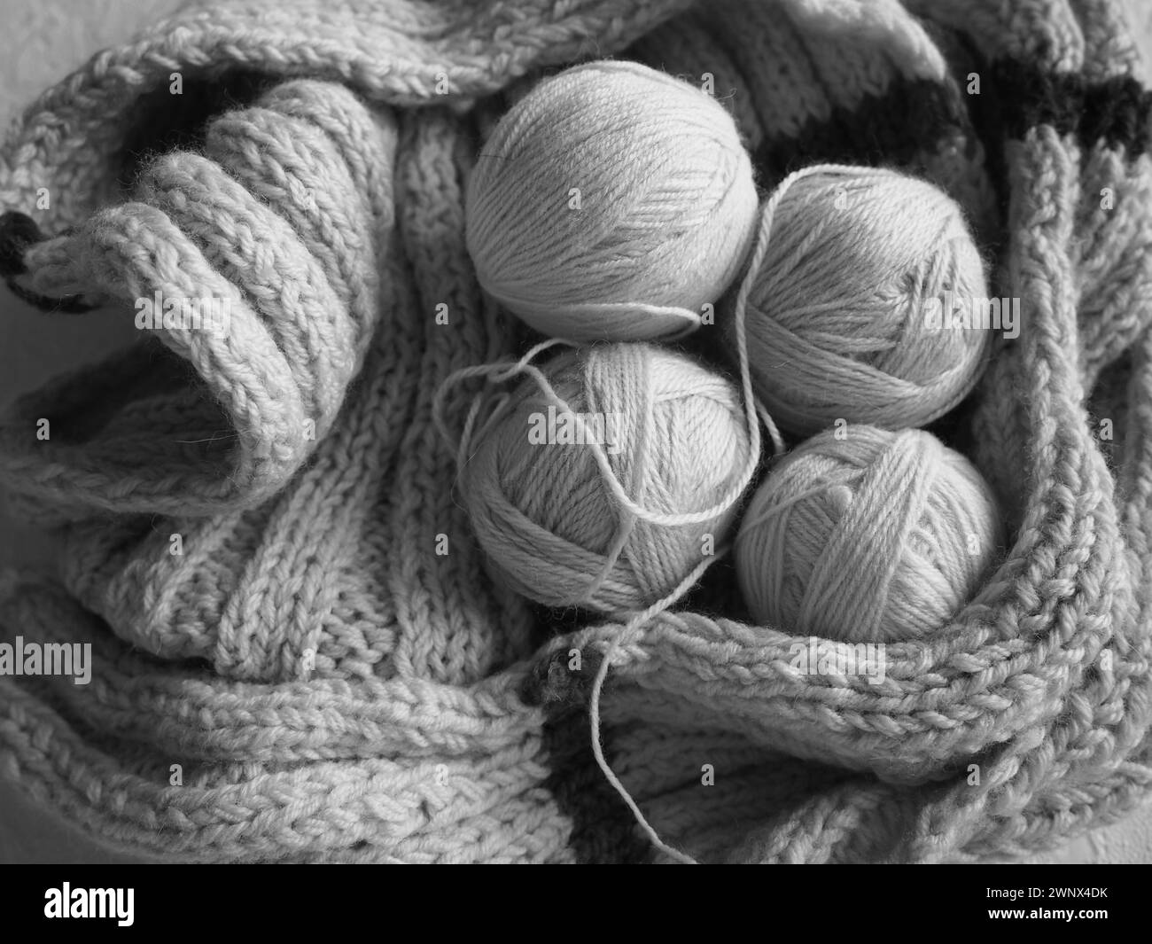Knitting a scarf or sweater from gray and white yarns. Balls of woolen
