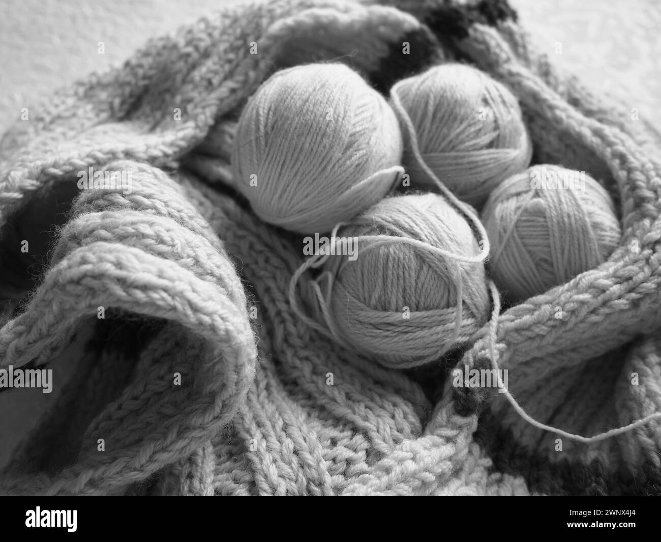 Knitting a scarf or sweater from gray and white yarns. Balls of woolen