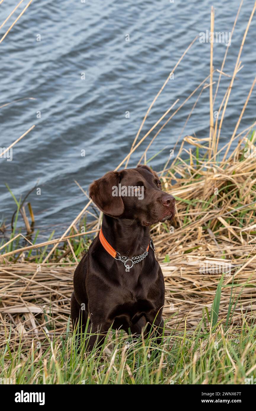 Trained shooters hi-res stock photography and images - Alamy