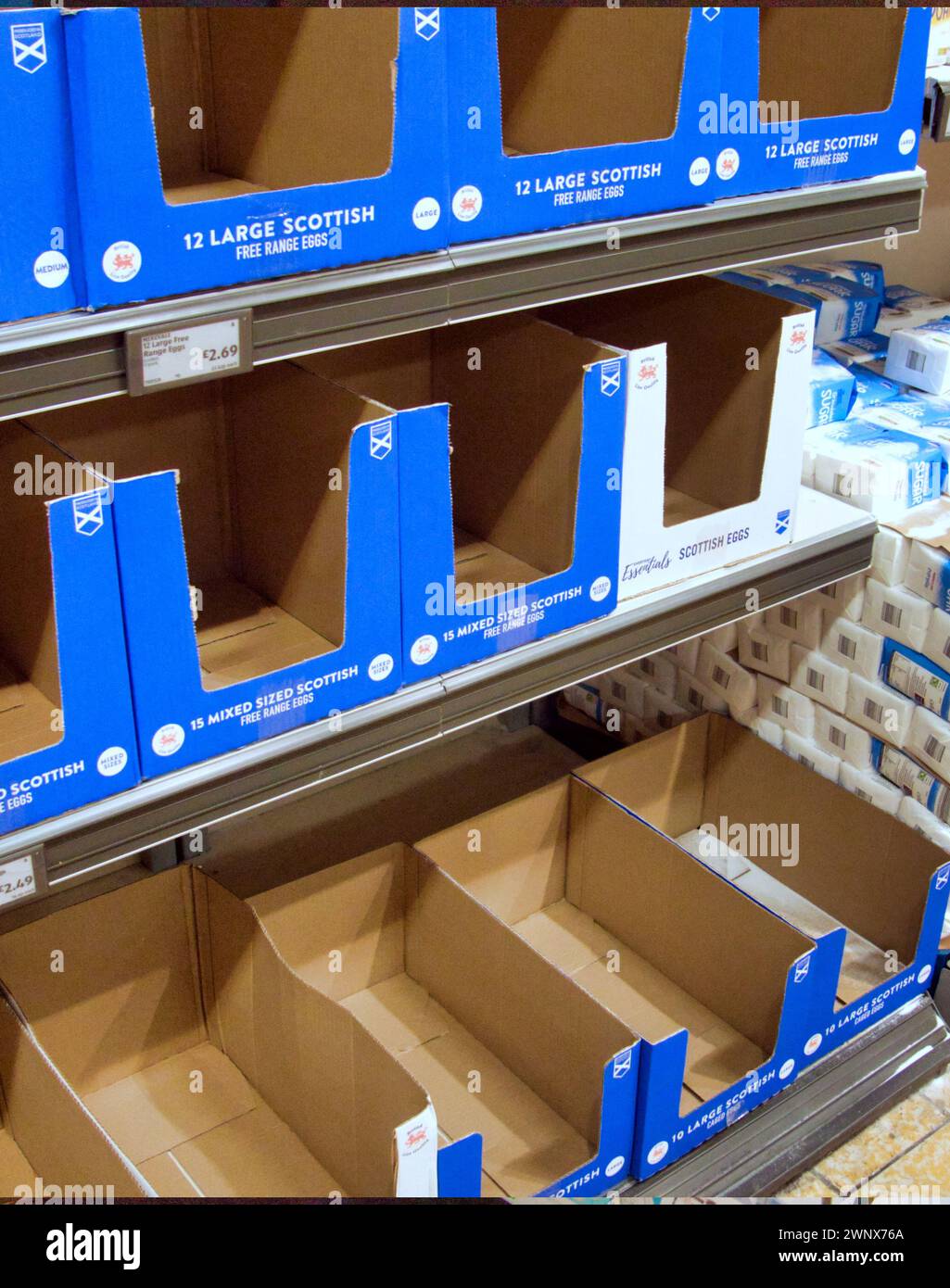Aldi egg boxes hires stock photography and images Alamy