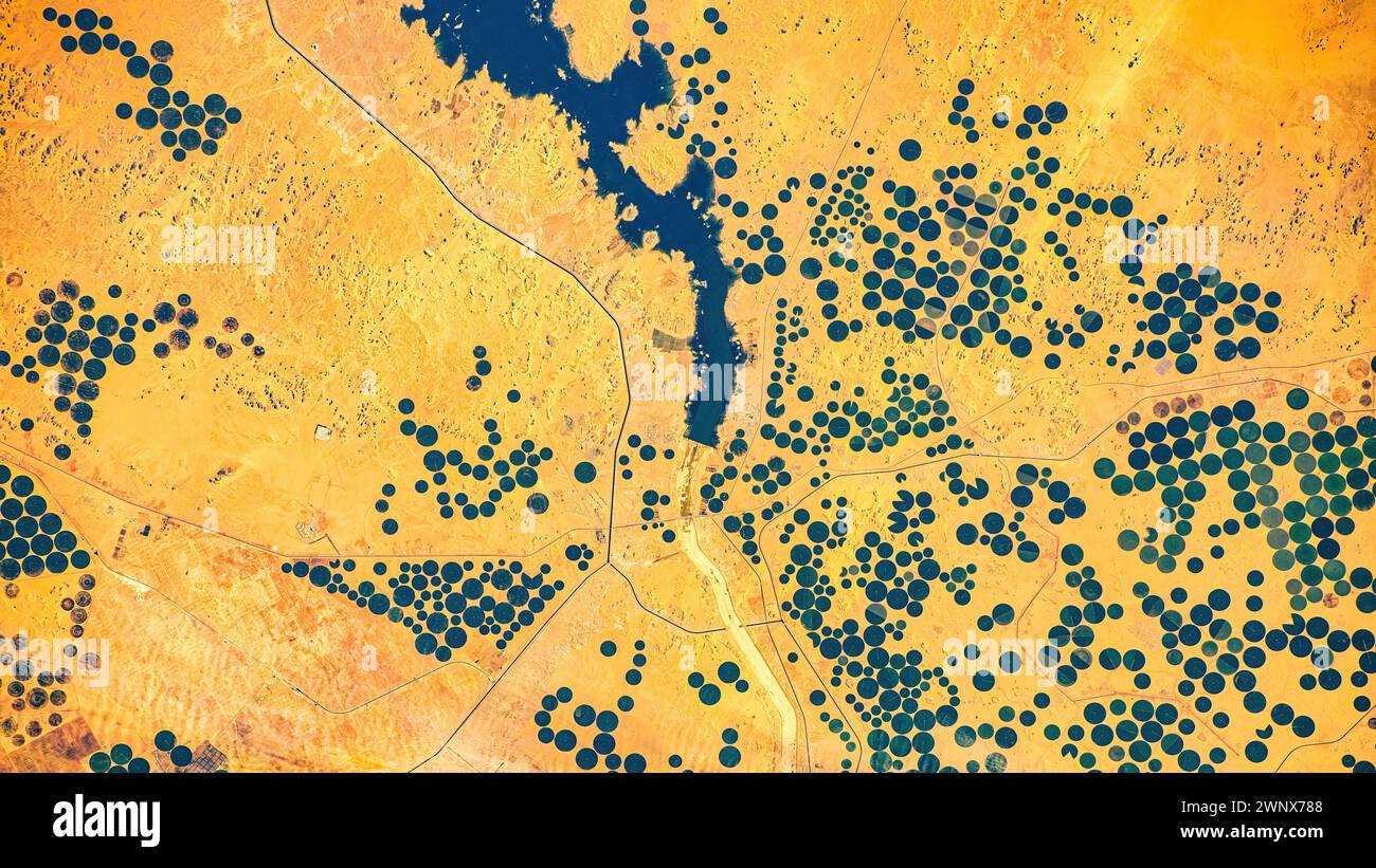 Circle crops by Lake Nubia, Sudan. Digital enhancement of an image by NASA Stock Photo