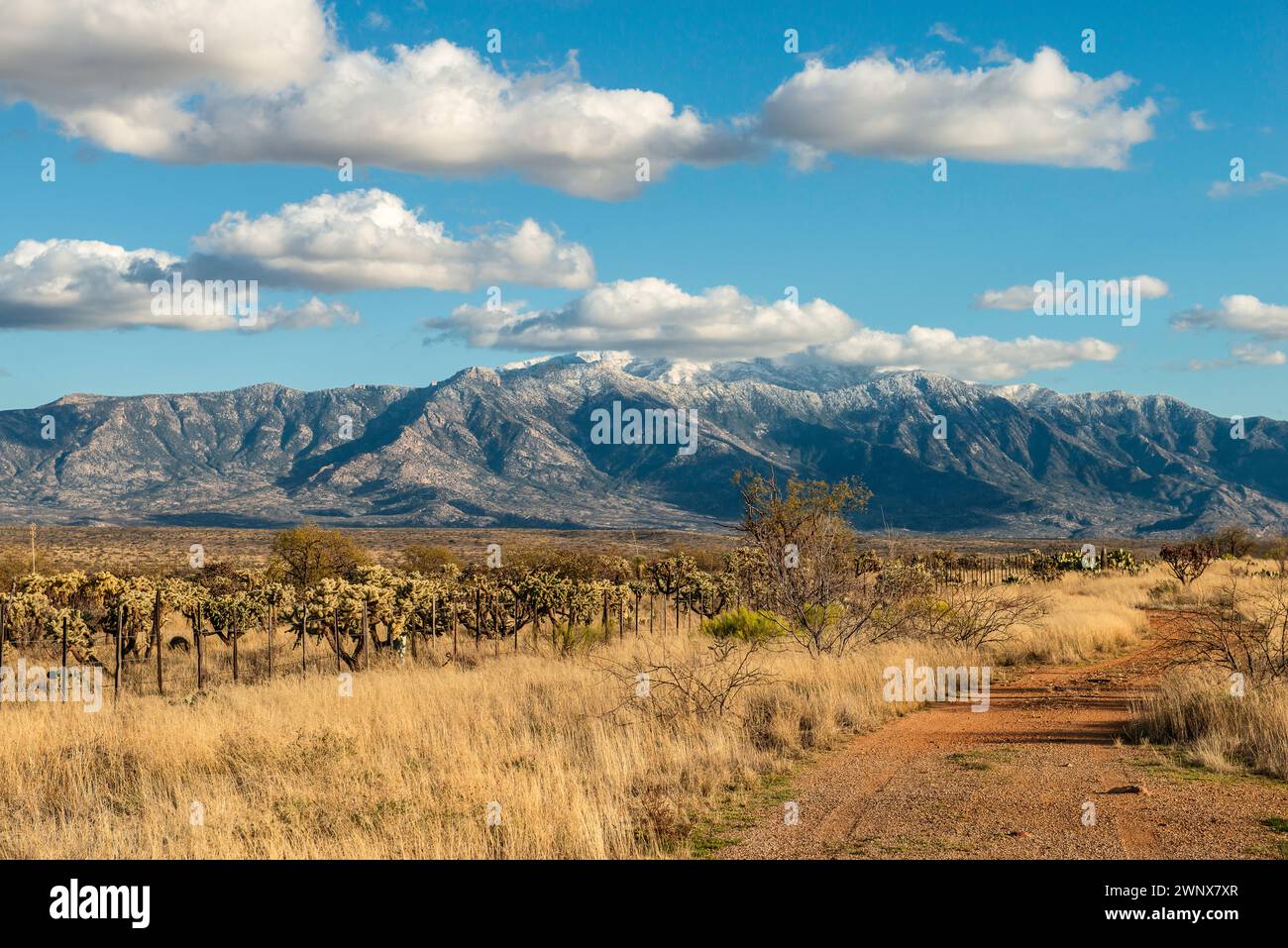 American southwest landscape hi-res stock photography and images - Alamy
