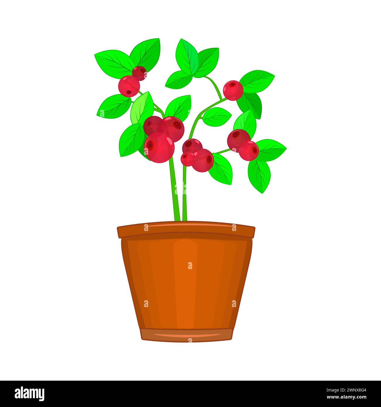 Potted fruit Stock Vector Images - Alamy