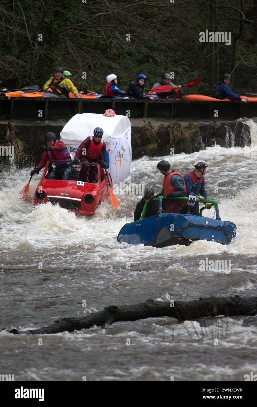 26/12/15  Two minis, one towing a caravan are just some of dozens of competitors who are tossed into the Derwent as the extremely swollen river launch Stock Photo