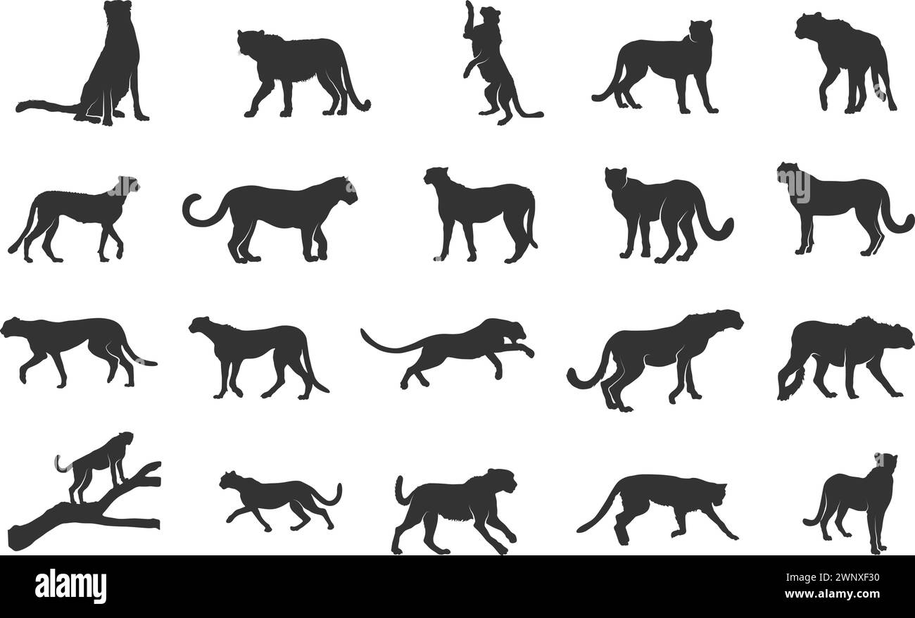 Cheetah silhouette, Cheetah running silhouettes, Cheetah vector illustration Stock Vector