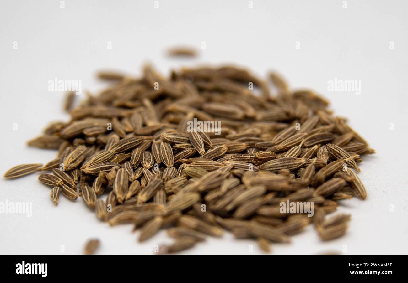 Cumin plant hires stock photography and images Alamy