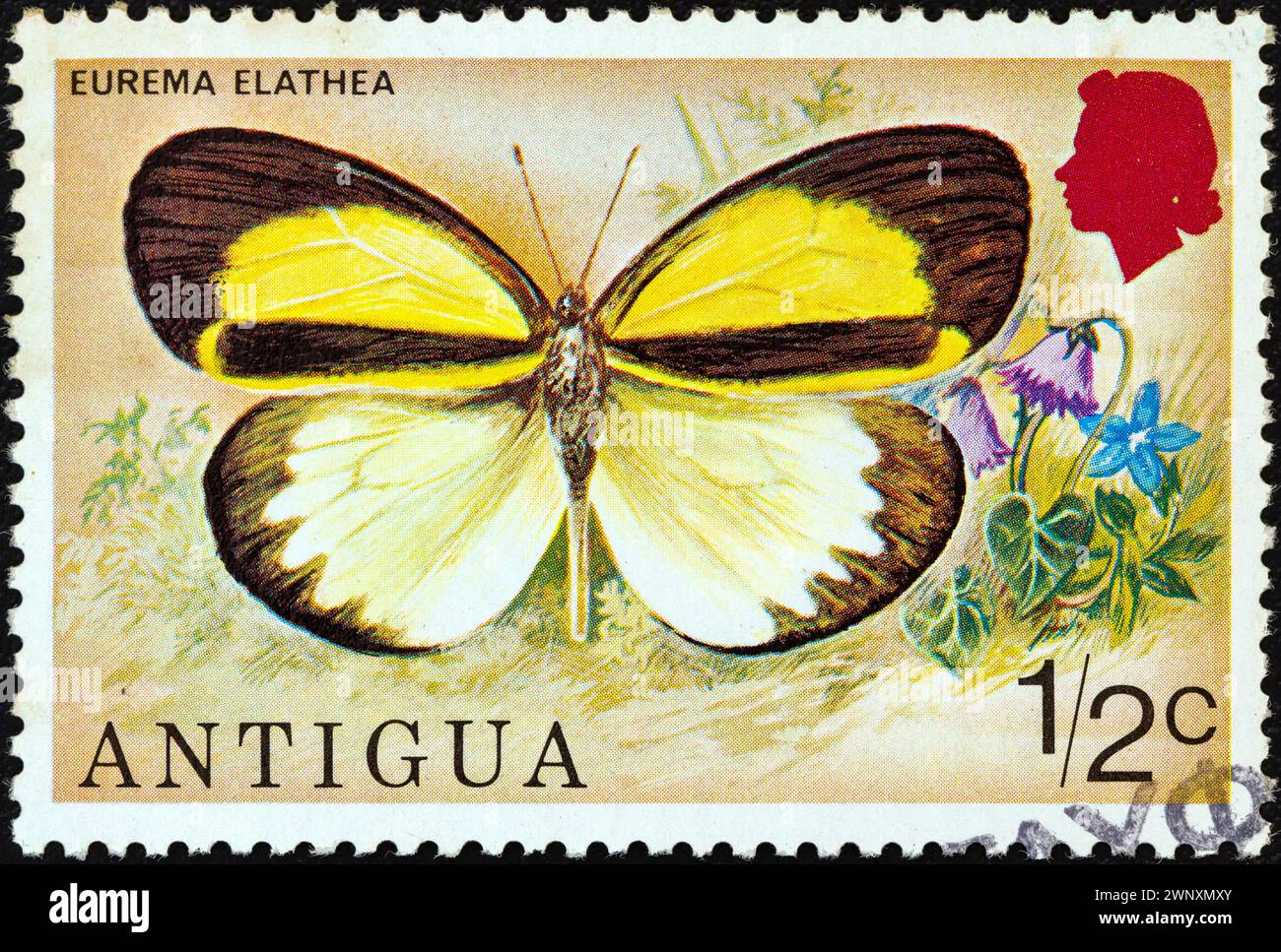 ANTIGUA - CIRCA 1975: A stamp printed in Antigua from the 'Butterflies' issue shows an Eurema elathea butterfly Stock Photo